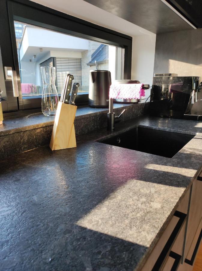 Luxurioeses Penthouse Mit Blick Auf Die Uno-City Und Dem Kaiserwasser. 3Schlafzimmer, 2 Baeder, Privat Lift Ins Apartment Вена Экстерьер фото